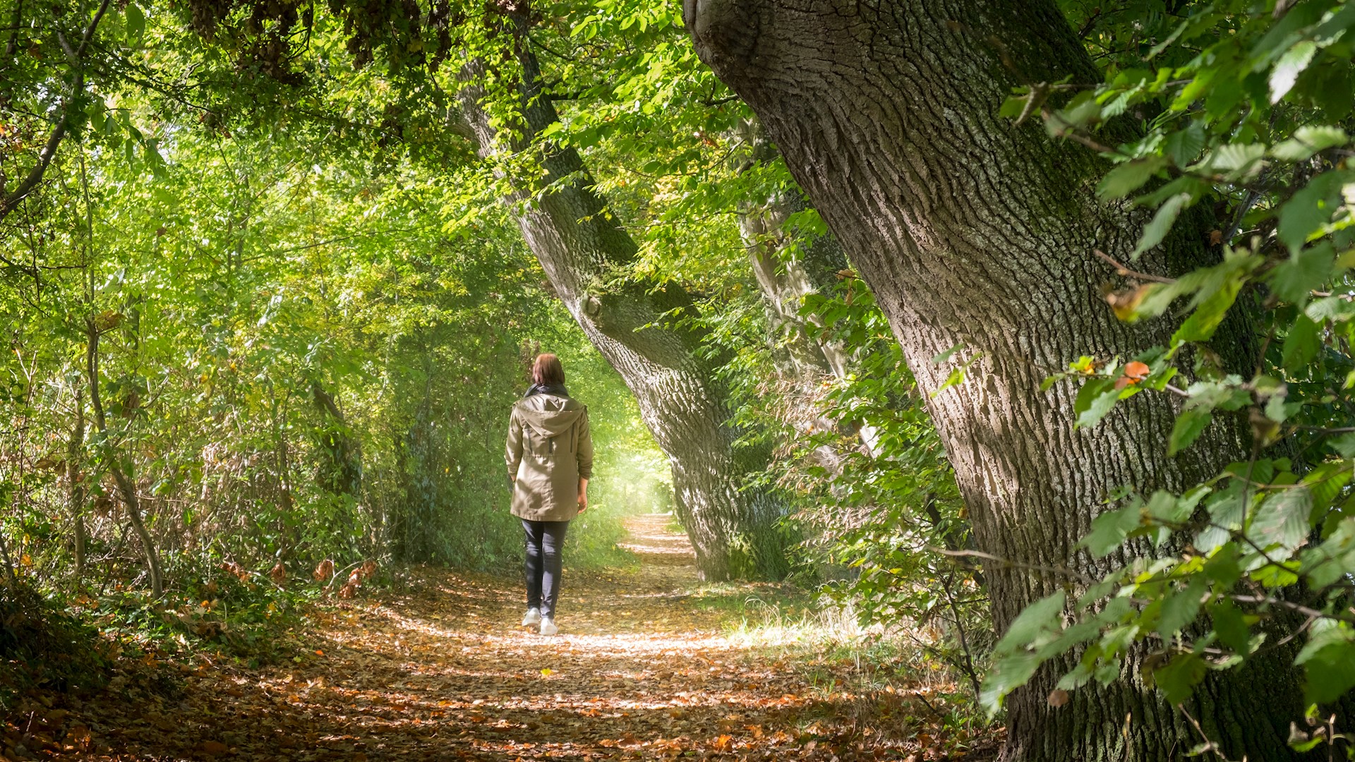 Kvinna vandrar ensam genom skogen