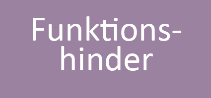 Funktonshinder lägre.jpg