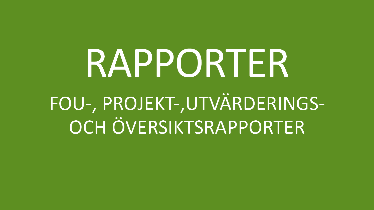BILDKNAPP RAPPORTER.png