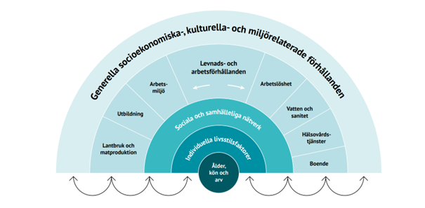Illustration från Liv & hälsa 2022