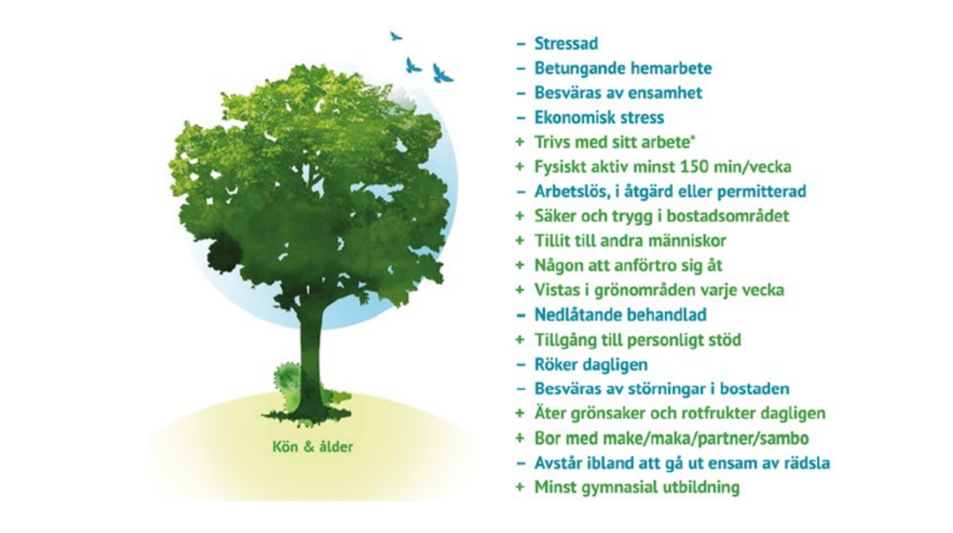 Illustration från Liv & hälsa 2022