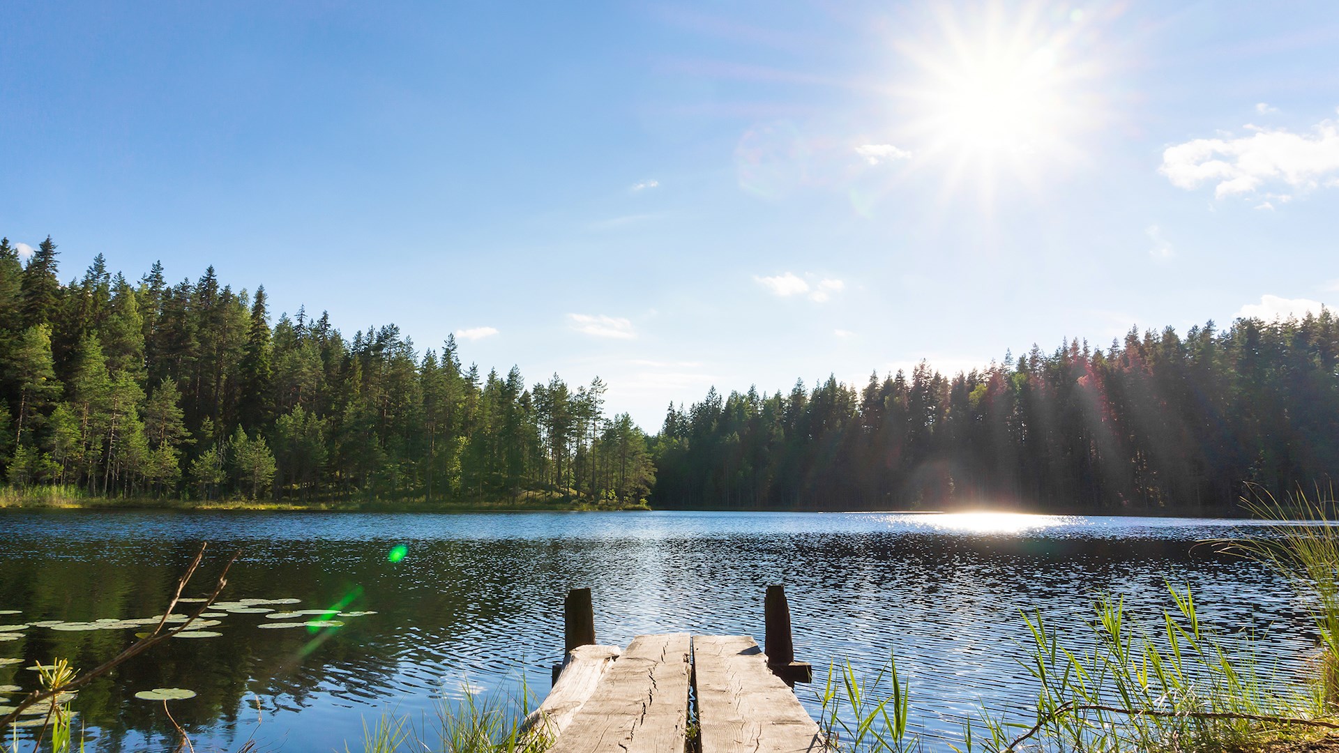 Svensk sommarbrygga