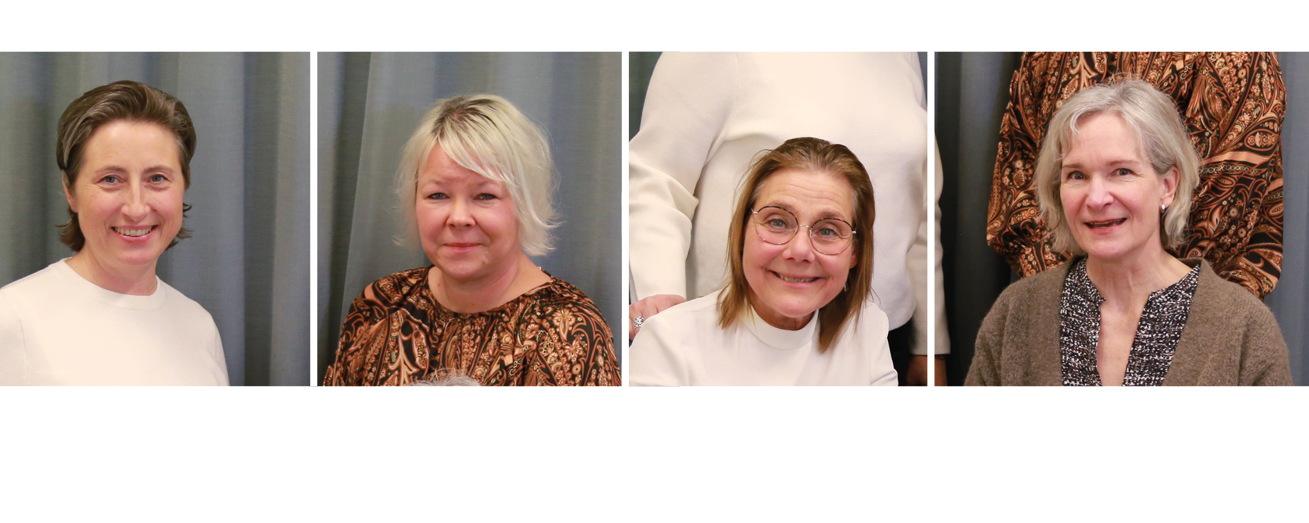 Forskargruppen fallprevention 2024